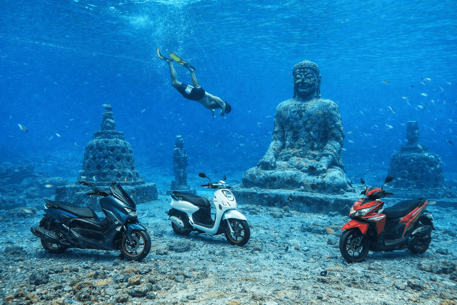 Should You Rent a Scooter in Bali? A Nervous First-Timer's Honest Guide